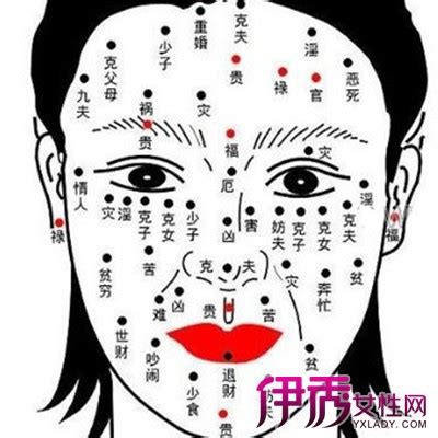 右下眼瞼有痣|女人右眼下有痣命运 女人右眼痣图解大全